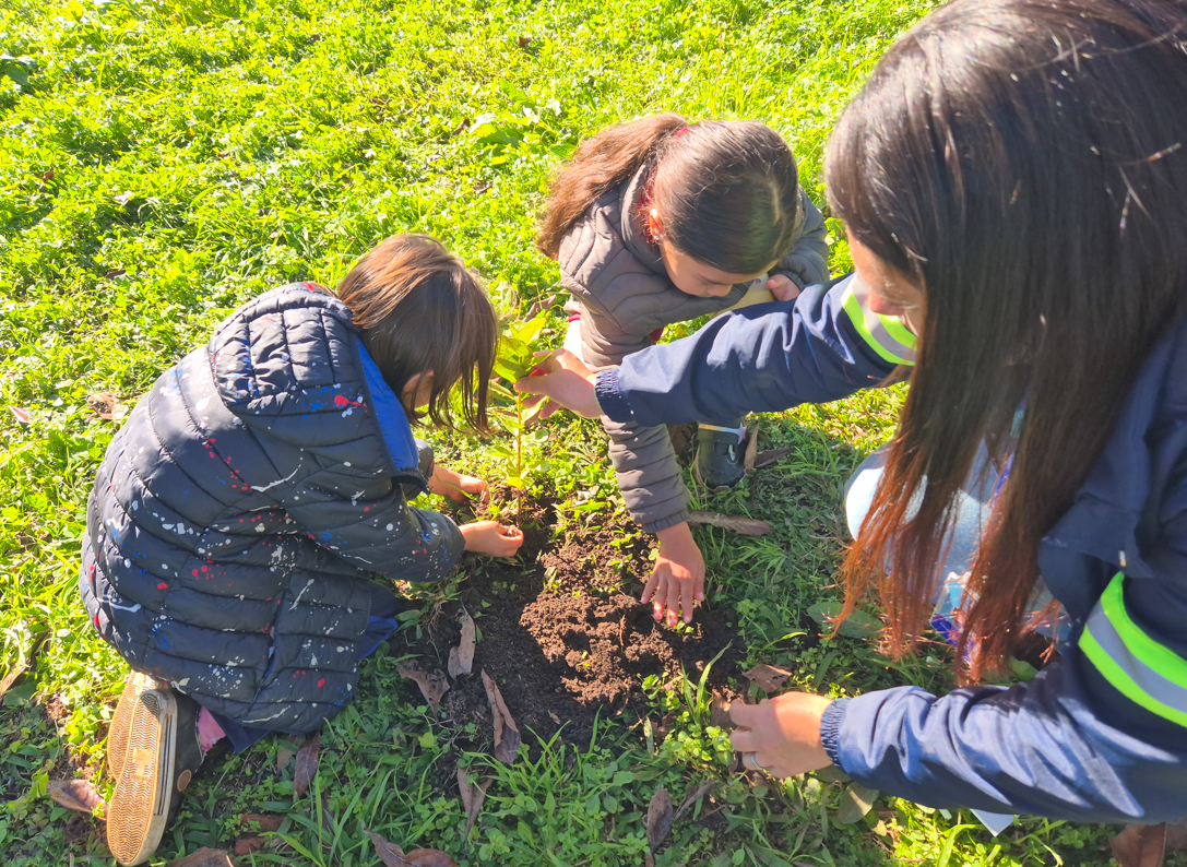 Crianças Plantando no projeto plantando futuro